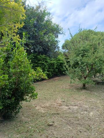 苗栗通霄農地-4