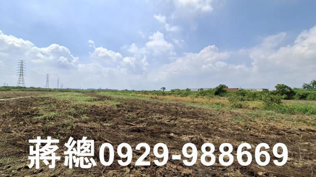 新市農地-7