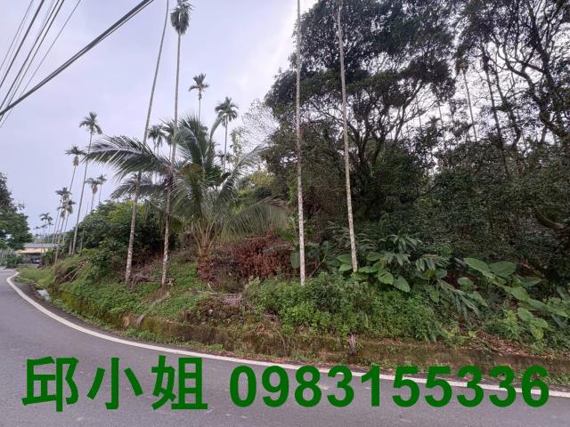 嘉義中埔農地-0