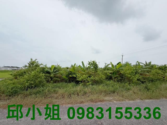 嘉義太保農地-0