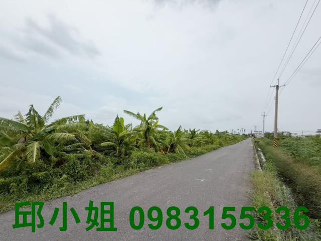 嘉義太保農地-1