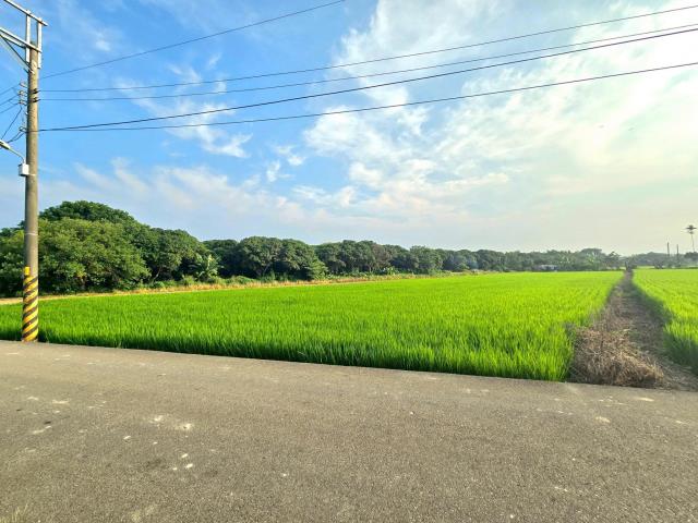 台中神岡農地-0