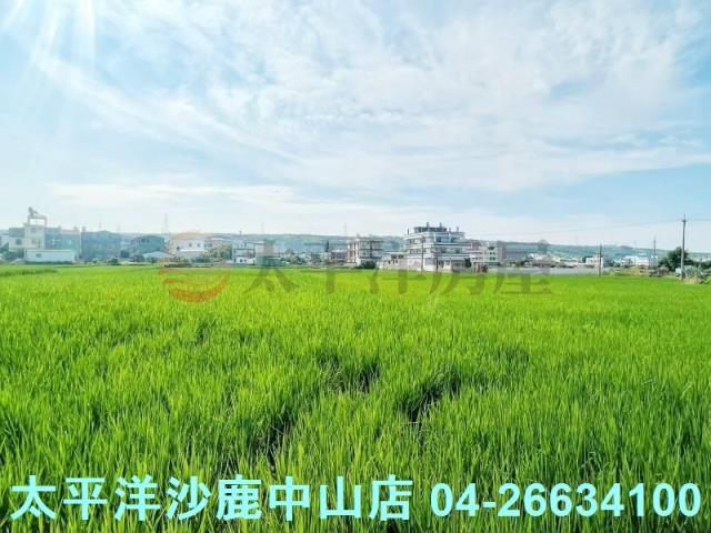 台中清水農地-3