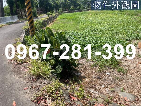 苗栗頭份工業地-0