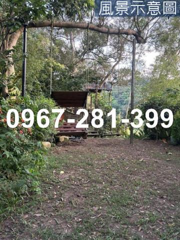 苗栗頭份農地-6