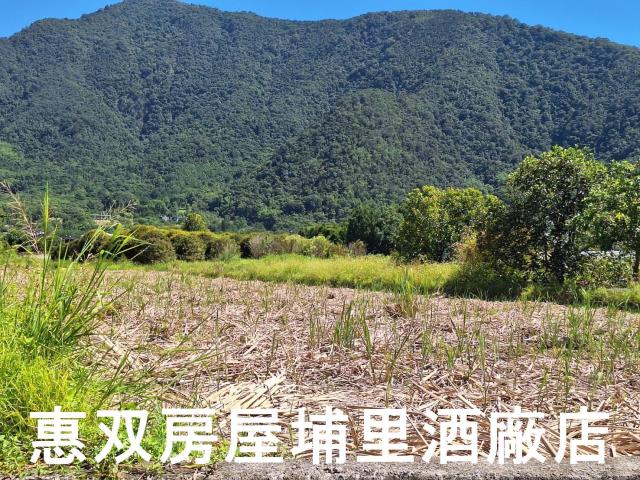 南投埔里農地-0