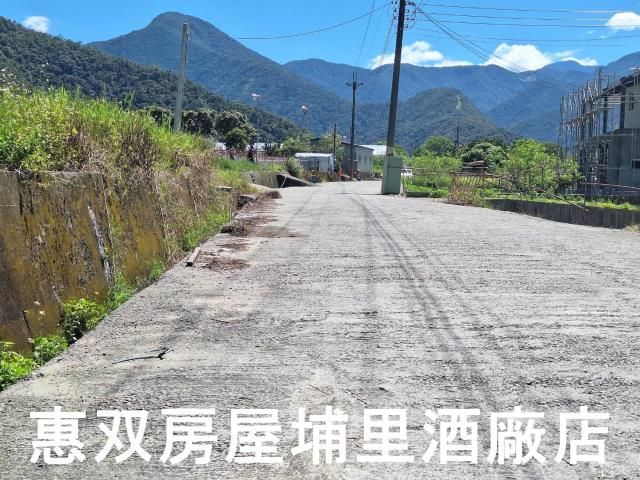 南投埔里農地-1