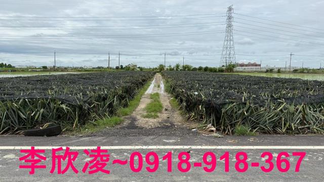 嘉義民雄農地-4