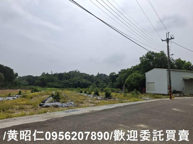 台南新化農地-11