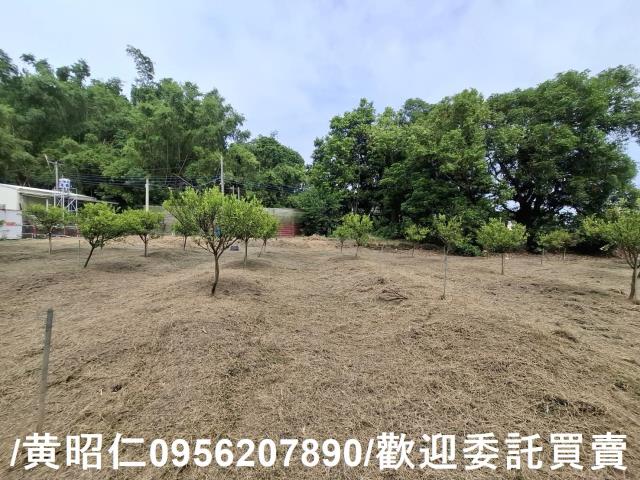 台南新化農地-2