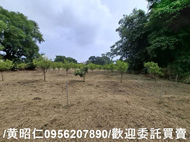 台南新化農地-3