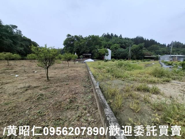 台南新化農地-5