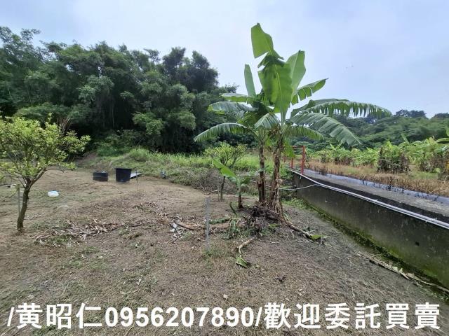 台南新化農地-7