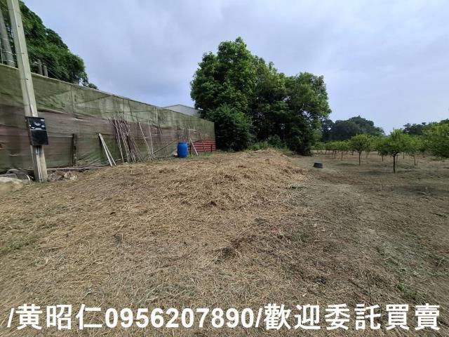 台南新化農地-8