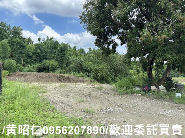 台南關廟農地-2