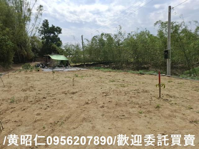 台南關廟農地-2