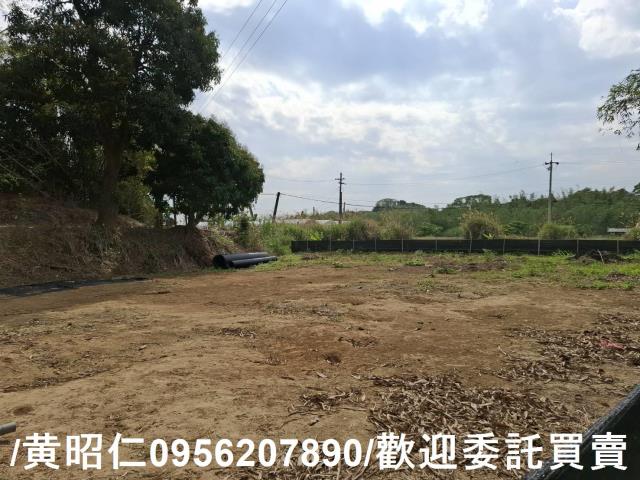 台南關廟農地-4