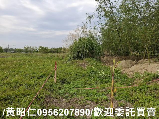 台南關廟農地-5