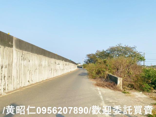 台南仁德農地-9