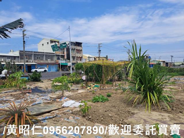 台南學甲農地-2