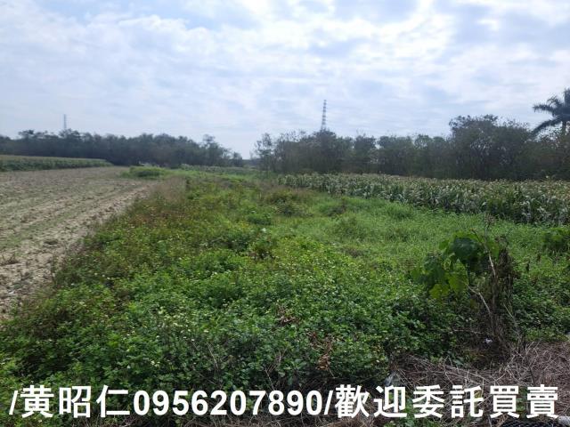 台南學甲農地-4