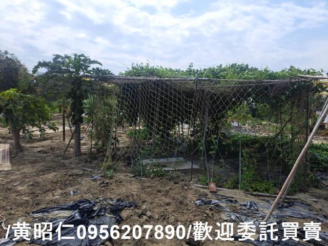 台南學甲農地-6