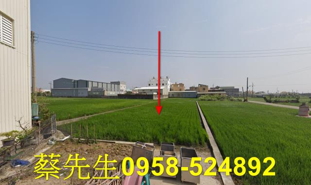 大甲法拍大甲農地大甲土地