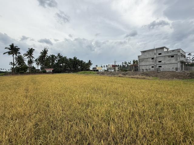 屏東市農地-3