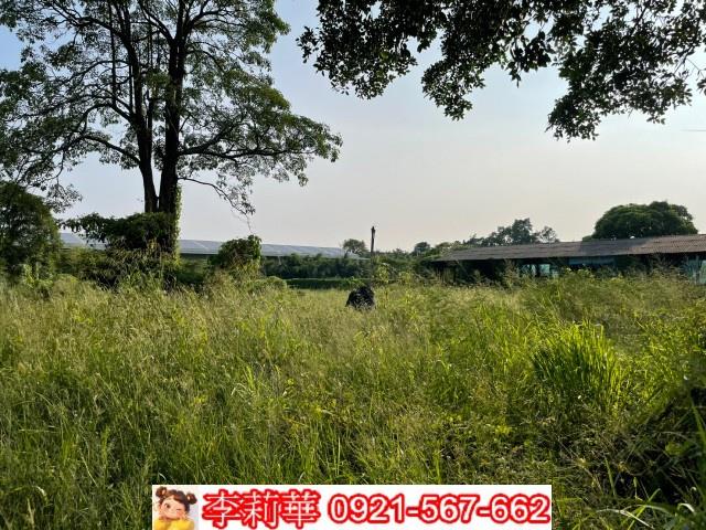 台南農地-6
