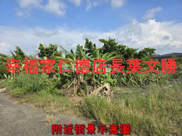 台南麻豆農地-10