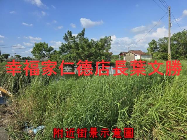 台南麻豆農地-2