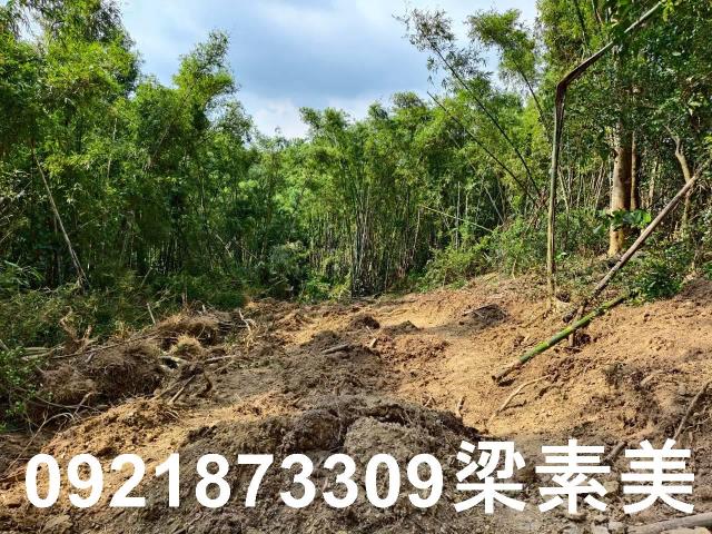 台南龍崎農地-2