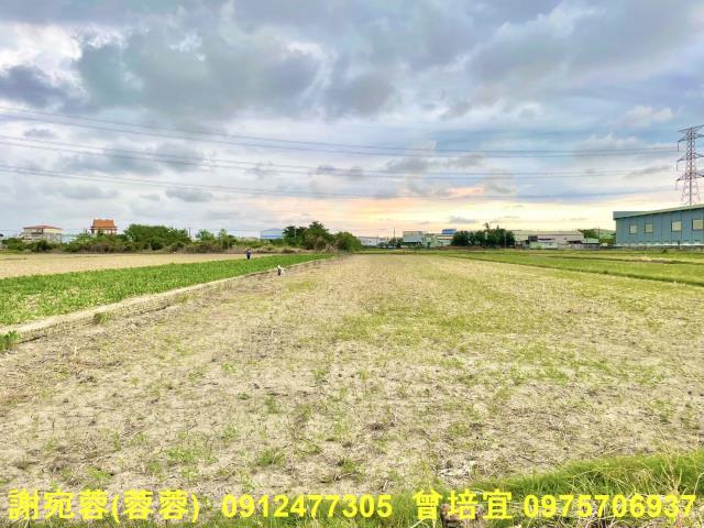湖內農地-4