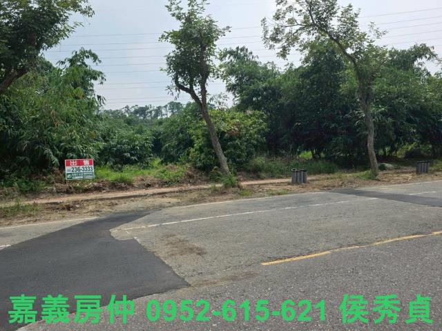 民雄農地-5