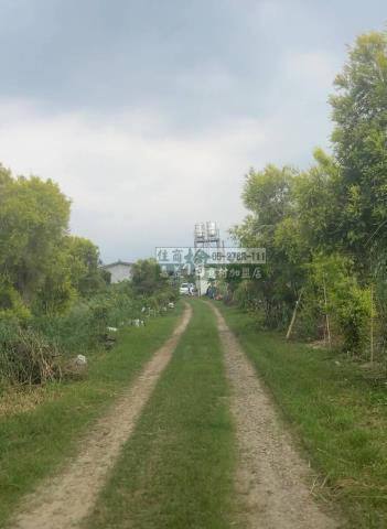 嘉義中埔農地-3