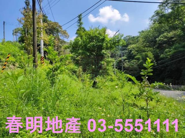 新竹橫山農地-0