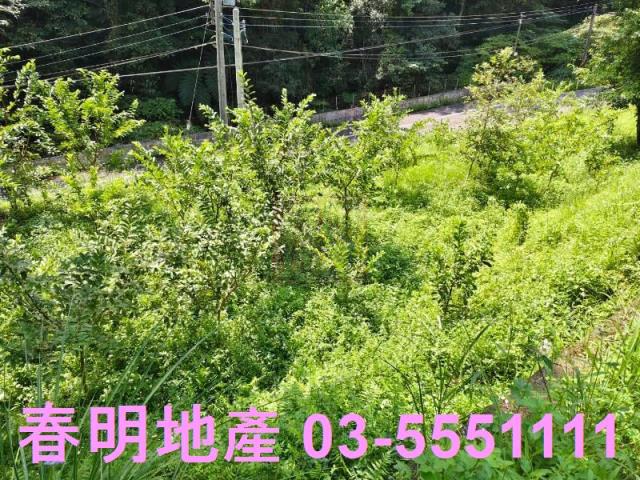 新竹橫山農地-3