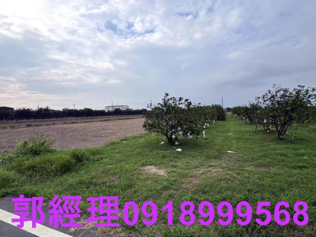 麻豆農地-6