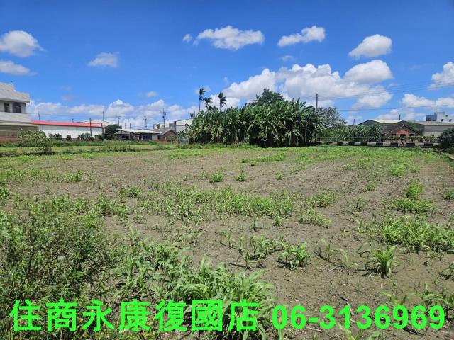 鹽水建地-5