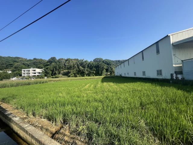 桃園農地-2