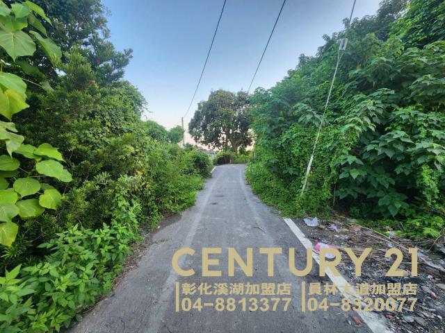 彰化永靖建地-5