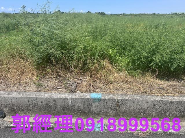 台南七股農地-2