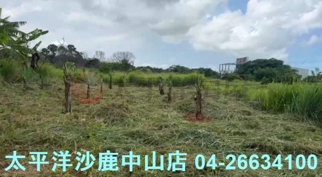 台中清水農地-6