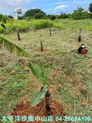台中清水農地-7