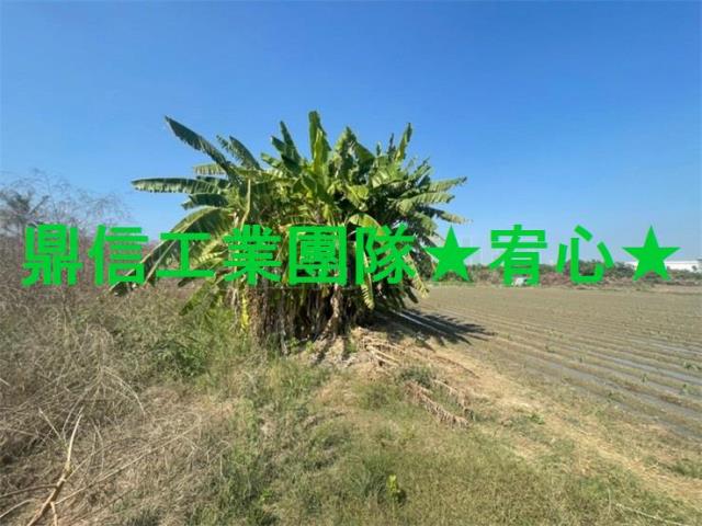 台南安南農地-0