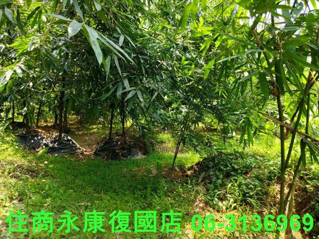 台南左鎮農地-13