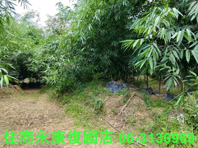 台南左鎮農地-8