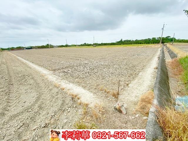 台南麻豆農地-10