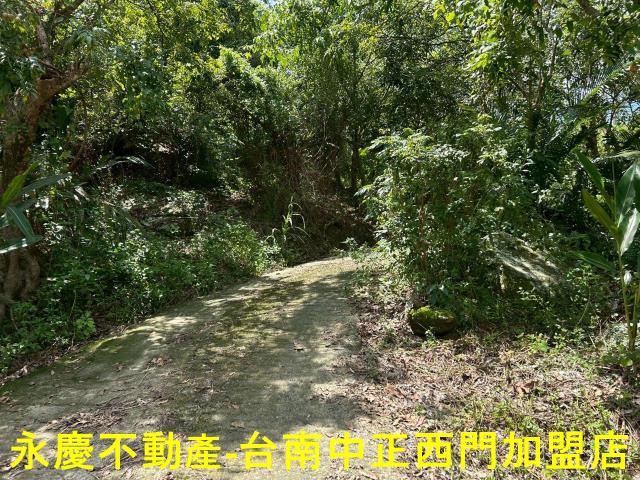 嘉義買房賣房房地合一稅建地農地