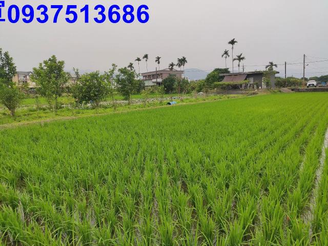 宜蘭三星農地-1